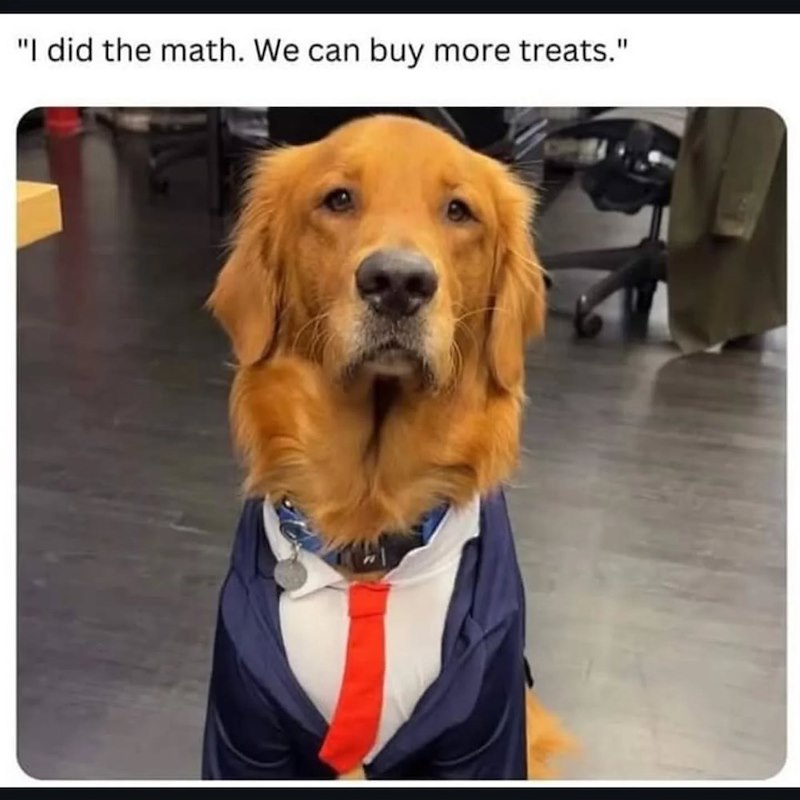 "I did the math. We can buy more treats."