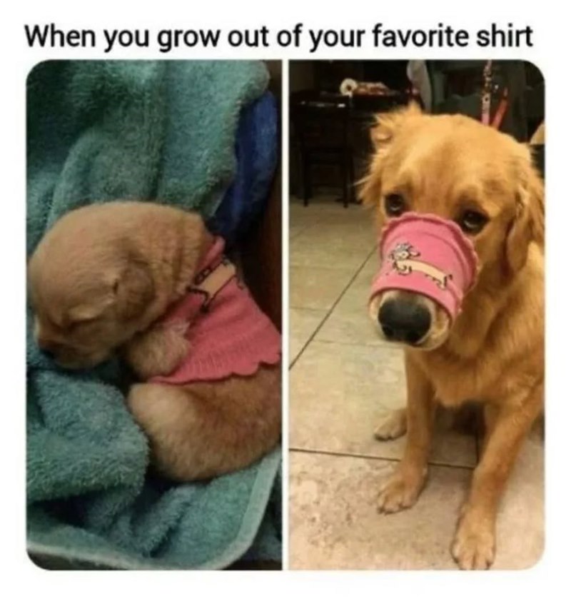 When you grow out of your favorite shirt