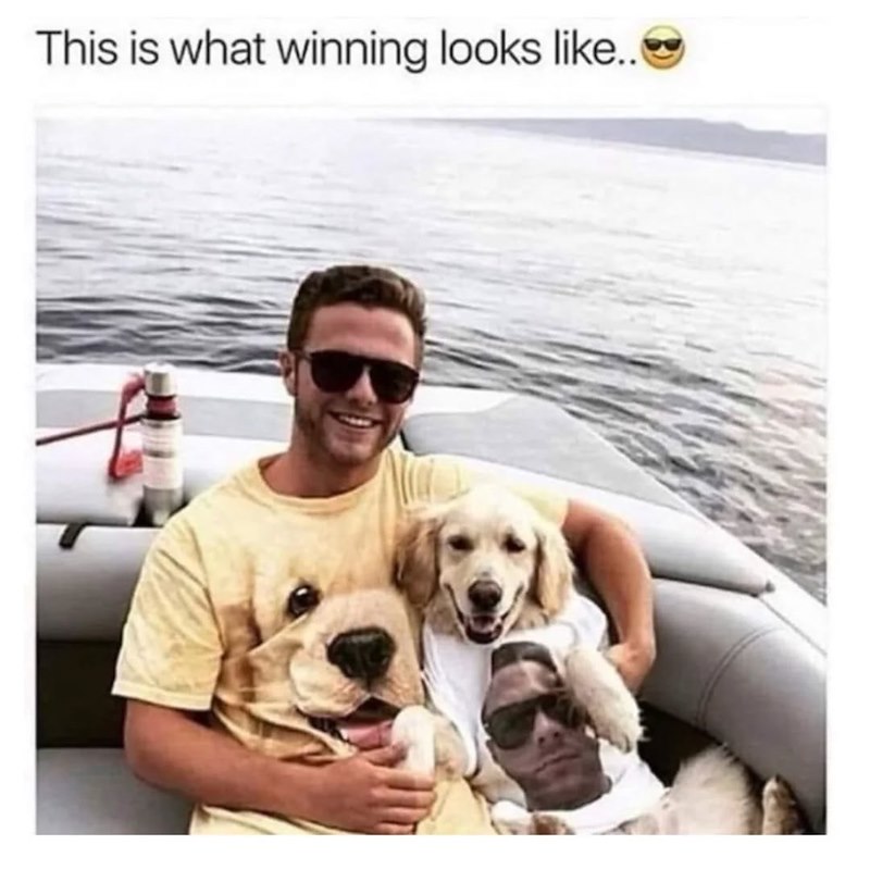 This is what winning looks like..