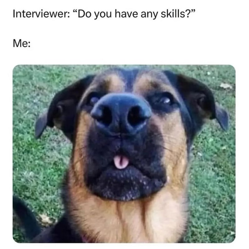 Interviewer: "Do you have any skills?" Me: