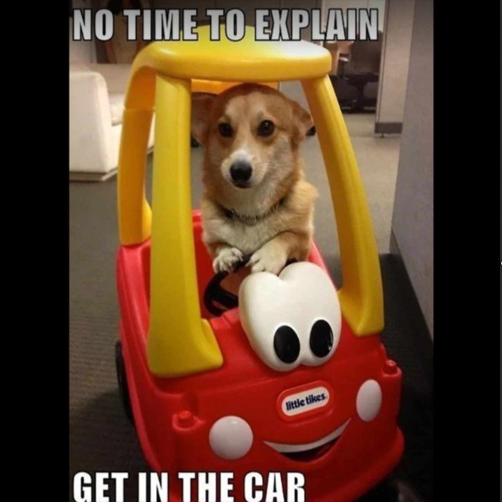 NO TIME TO EXPLAIN little tikes GET IN THE CAR