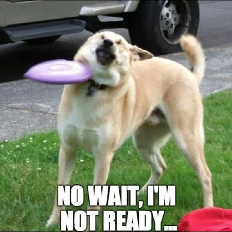 NO WAIT, I'M NOT READY...