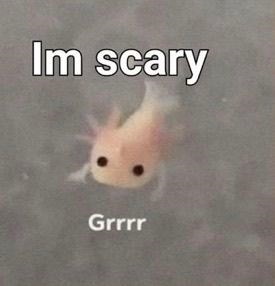 Im scary Grrrr