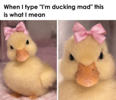 When I type "I'm ducking mad" this is what I mean