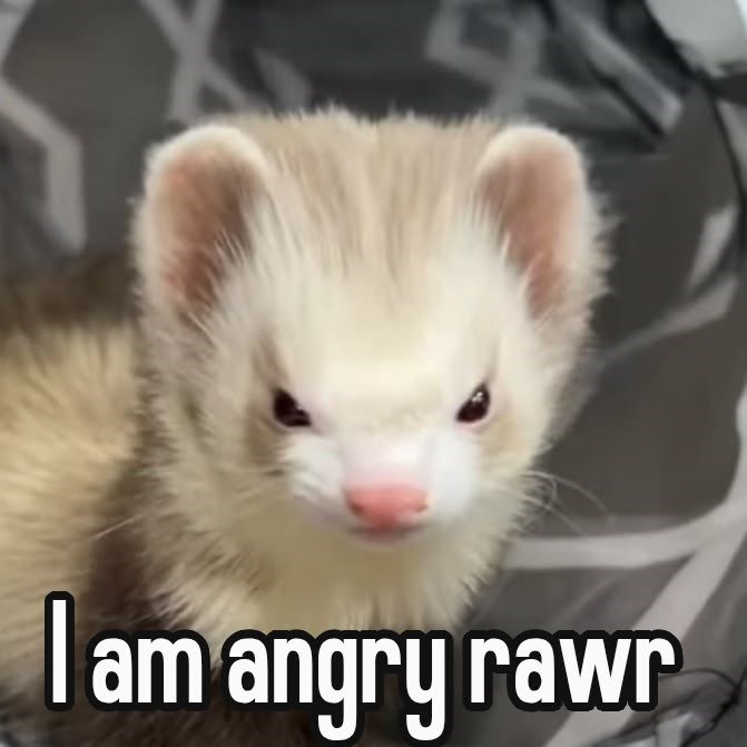 I am angry rawr