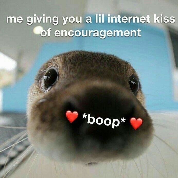 me giving you a lil internet kiss of encouragement *boop*