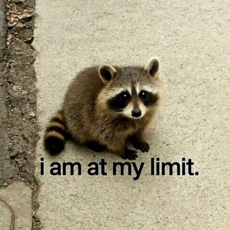 i am at my limit.