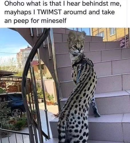 Ohoho what is that I hear behindst me, mayhaps I TWIMST aroumd and take an peep for mineself