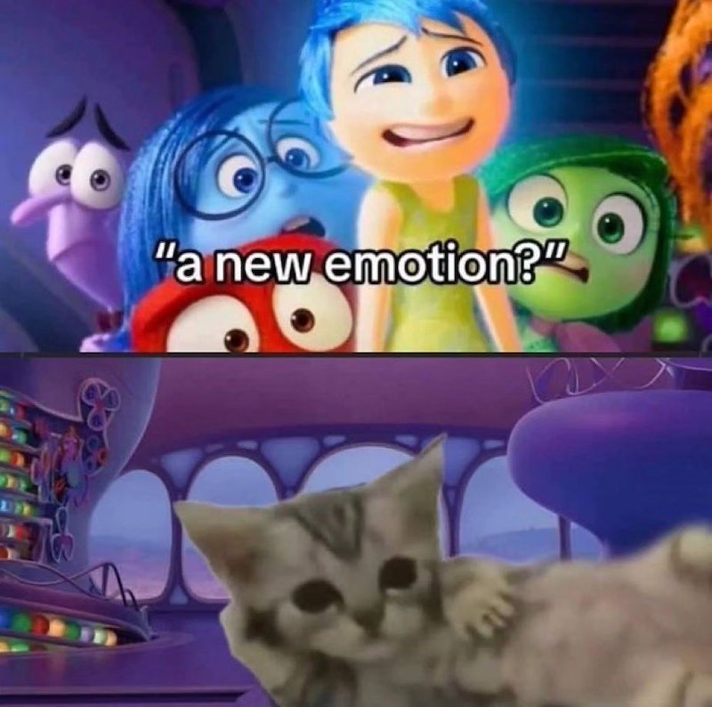 "a new emotion?"