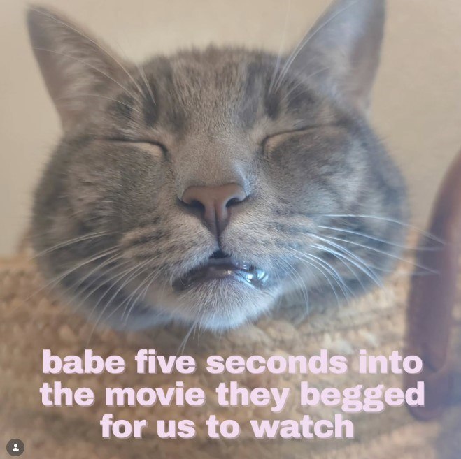 babe five seconds into the movie they begged for us to watch