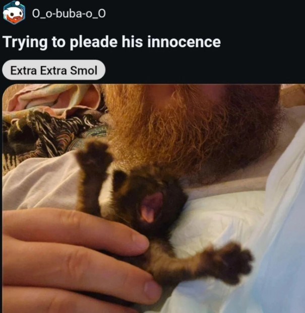 O_o-buba-o_0 Trying to pleade his innocence Extra Extra Smol