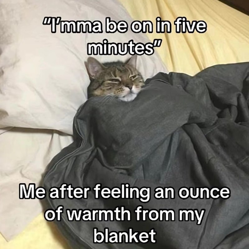 "I'mma be on in five minutes" Me after feeling an ounce of warmth from my blanket