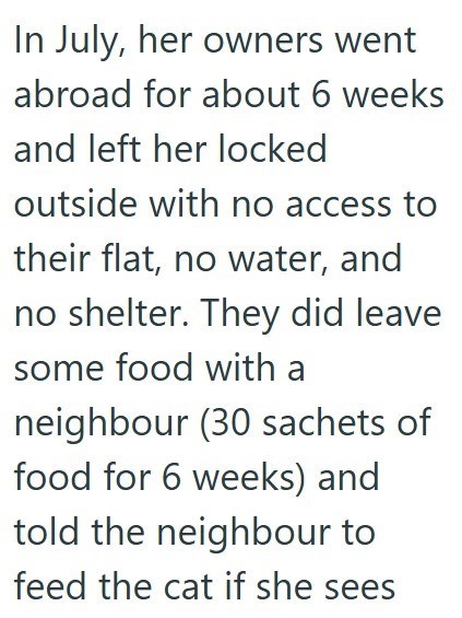 In July, her owners went abroad for about 6 weeks and left her locked outside with no access to their flat, no water, and no shelter. They did leave some food with a neighbour (30 sachets of food for 6 weeks) and told the neighbour to feed the cat if she sees