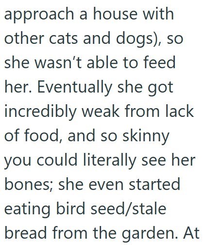 approach a house with other cats and dogs), so she wasn't able to feed her. Eventually she got incredibly weak from lack of food, and so skinny you could literally see her bones; she even started eating bird seed/stale bread from the garden. At