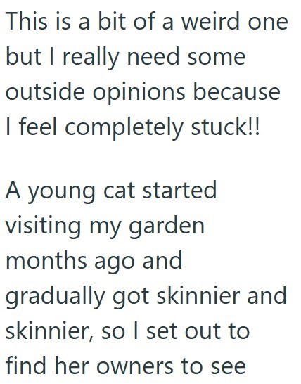 This is a bit of a weird one but I really need some outside opinions because I feel completely stuck!! A young cat started visiting my garden months ago and gradually got skinnier and skinnier, so I set out to find her owners to see