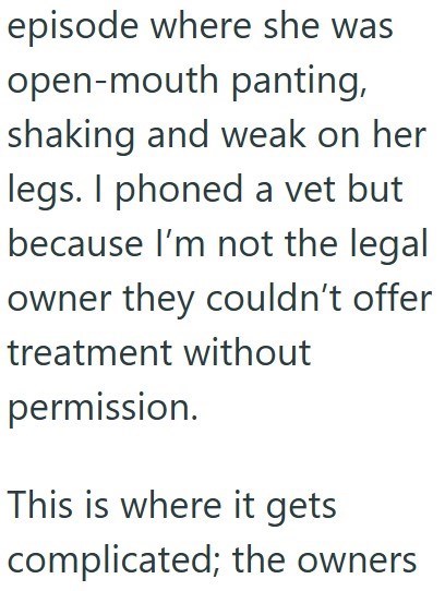 episode where she was open-mouth panting, shaking and weak on her legs. I phoned a vet but because I'm not the legal owner they couldn't offer treatment without permission. This is where it gets complicated; the owners