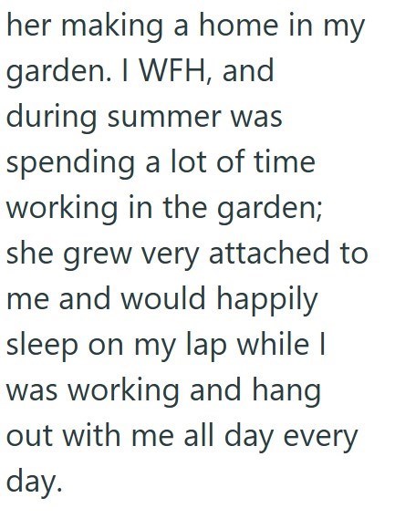 her making a home in my garden. I WFH, and during summer was spending a lot of time working in the garden; she grew very attached to me and would happily sleep on my lap while I was working and hang out with me all day every day.
