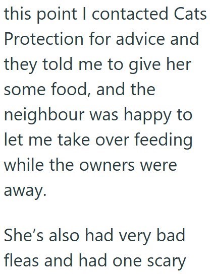 this point I contacted Cats Protection for advice and they told me to give her some food, and the neighbour was happy to let me take over feeding while the owners were away. She's also had very bad fleas and had one scary
