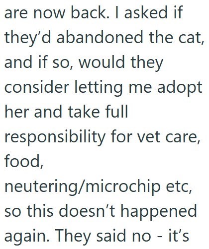 are now back. I asked if they'd abandoned the cat, and if so, would they consider letting me adopt her and take full responsibility for vet care, food, neutering/microchip etc, so this doesn't happened. again. They said no - it's