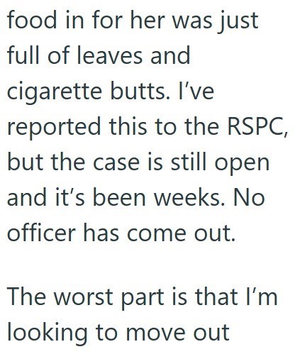 food in for her was just full of leaves and cigarette butts. I've reported this to the RSPC, but the case is still open and it's been weeks. No officer has come out. The worst part is that I'm looking to move out