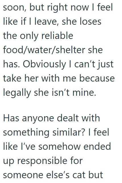 soon, but right now I feel like if I leave, she loses the only reliable food/water/shelter she has. Obviously I can't just take her with me because legally she isn't mine. Has anyone dealt with something similar? I feel like I've somehow ended up responsible for someone else's cat but