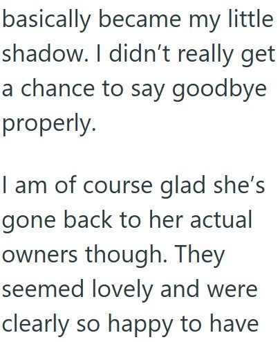 basically became my little shadow. I didn't really get a chance to say goodbye properly. I am of course glad she's gone back to her actual owners though. They seemed lovely and were clearly so happy to have