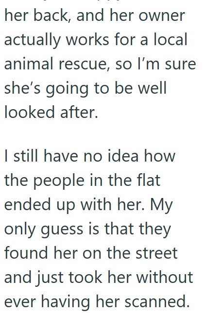 her back, and her owner actually works for a local animal rescue, so I'm sure she's going to be well looked after. I still have no idea how the people in the flat ended up with her. My only guess is that they found her on the street and just took her without ever having her scanned.