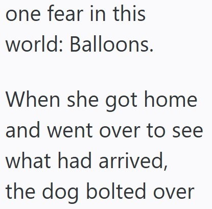 one fear in this world: Balloons. When she got home and went over to see what had arrived, the dog bolted over