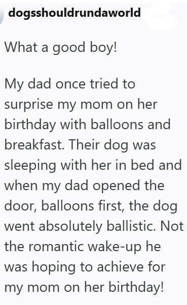 dogsshouldrundaworld What a good boy! My dad once tried to surprise my mom on her birthday with balloons and breakfast. Their dog was sleeping with her in bed and when my dad opened the door, balloons first, the dog went absolutely ballistic. Not the romantic wake-up he was hoping to achieve for my mom on her birthday!