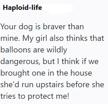 Haploid-life Your dog is braver than mine. My girl also thinks that balloons are wildly dangerous, but I think if we brought one in the house she'd run upstairs before she tries to protect me!