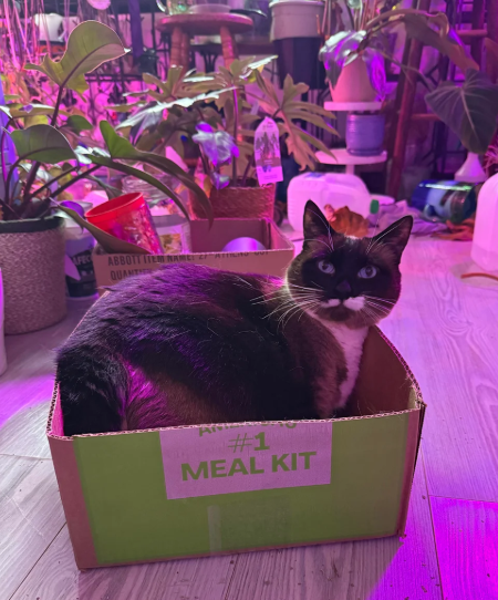 ABBOTT ITEM NAME A QUANT A #1 MEAL KIT