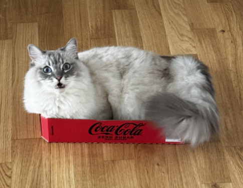 Coca-Cola ZERO SUGAR