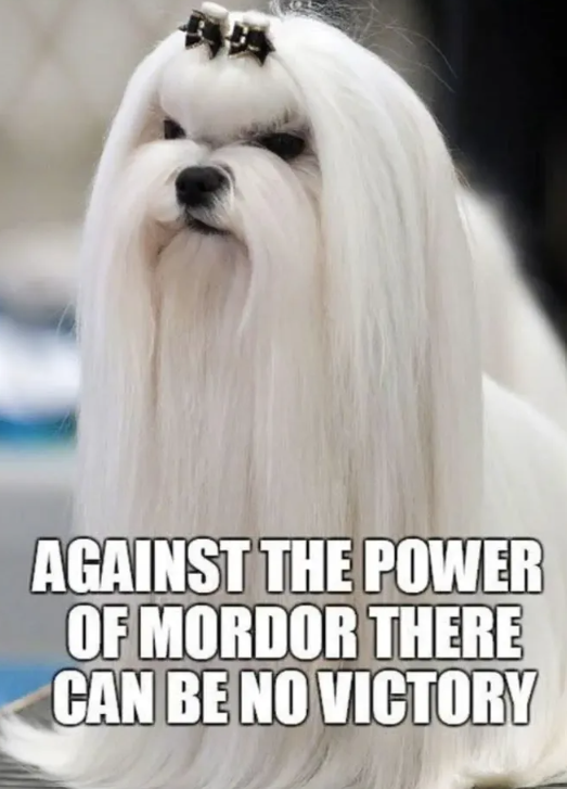 AGAINST THE POWER OF MORDOR THERE CAN BE NO VICTORY