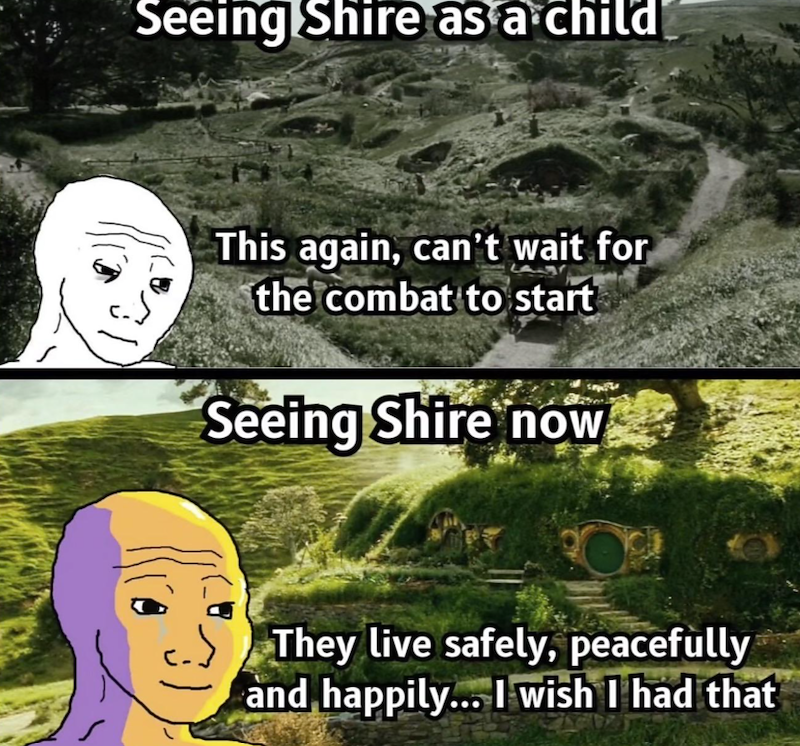 Seeing Shire as a child This again, can't wait for the combat to start Seeing Shire now They live safely, peacefully and happily... I wish I had that