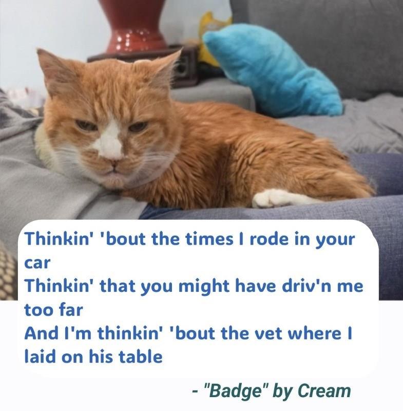 Thinkin' 'bout the times I rode in your car Thinkin' that you might have driv'n me too far And I'm thinkin' 'bout the vet where I laid on his table -"Badge" by Cream