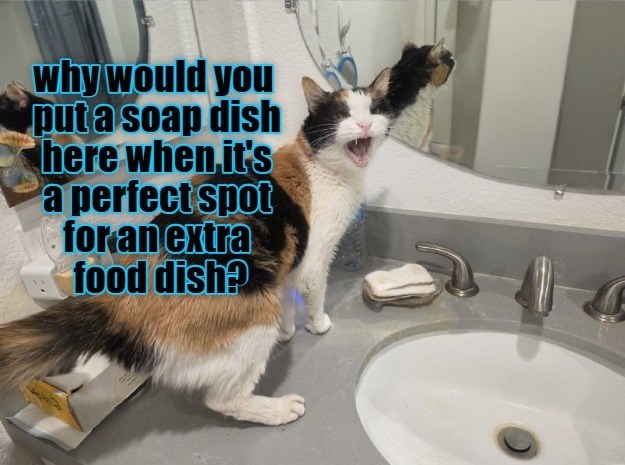 why would you put a soap dish here when it's a perfect spot for an extra food dish?