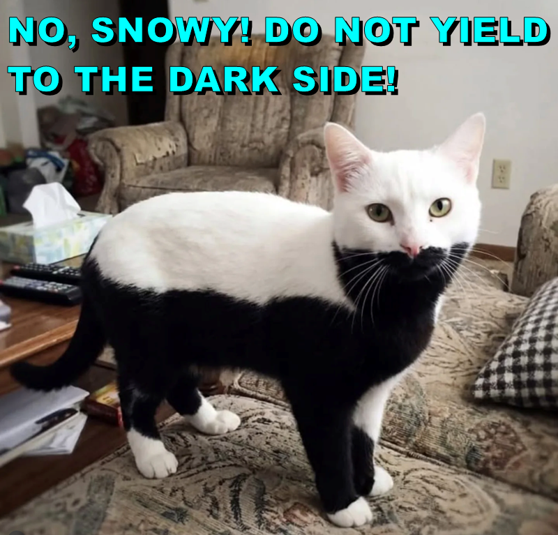 NO, SNOWY! DO NOT YIELD TO THE DARK SIDE!