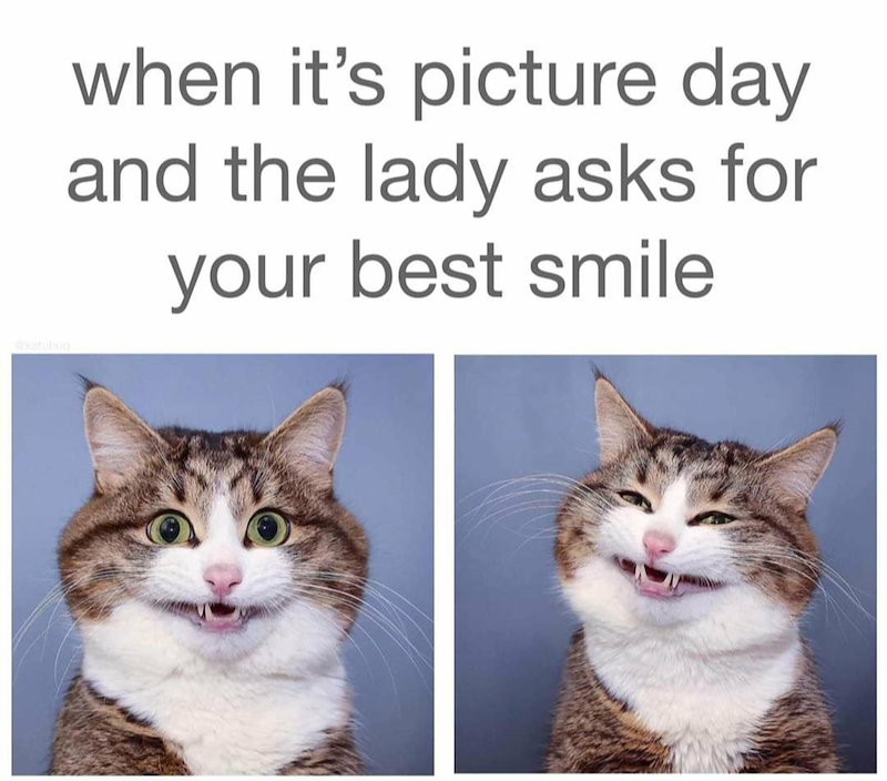 @katubug when it's picture day and the lady asks for your best smile