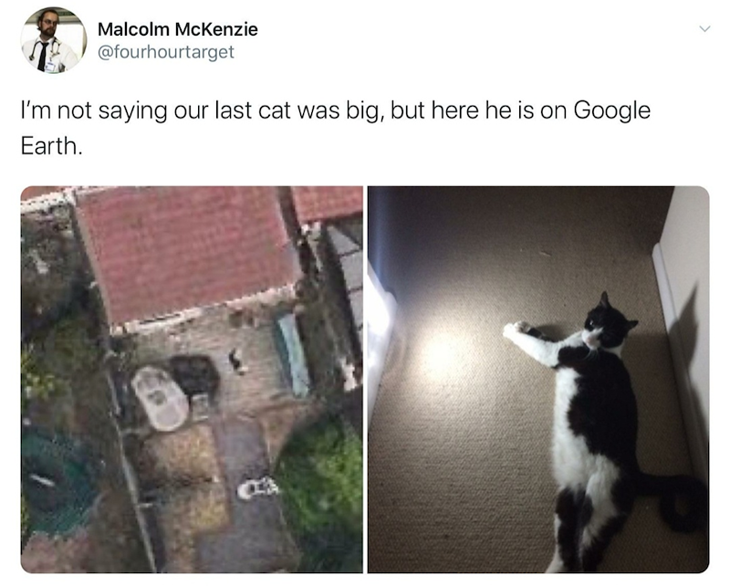 Malcolm McKenzie @fourhourtarget I'm not saying our last cat was big, but here he is on Google Earth.