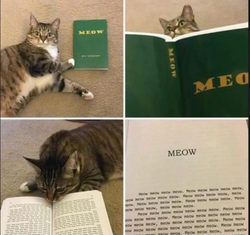 MEOW MEOW MEC MEOW Meow meow meow meow. Meow meow meow meow meow, neow meow meow meow meow Meow neow meow neow, neow eow Meow meow meow meow. Meow meow meow meow. Meow eow meow meow, meow meow meow. Meow meow meow meow meow meow neow, Meow meow now meow meow meow. Meow meow meow meow meow meow How meow meow, meow meow meow meow meow. Meow meow eow meow meow meow meow meow meow meow. Meow meow meow meow Meow meow meow, meow meow