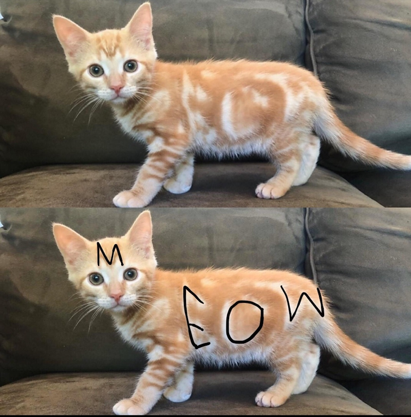 M моз