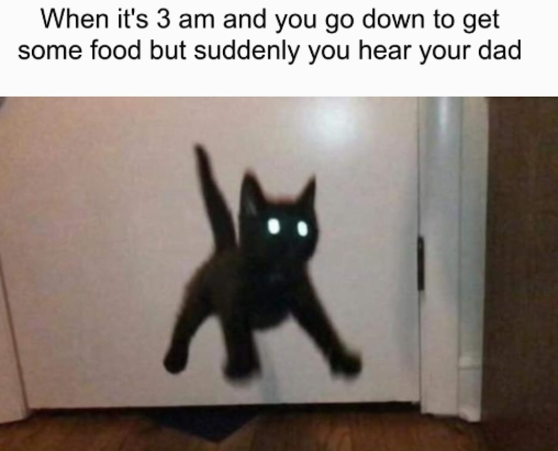 When it's 3 am and you go down to get some food but suddenly you hear your dad