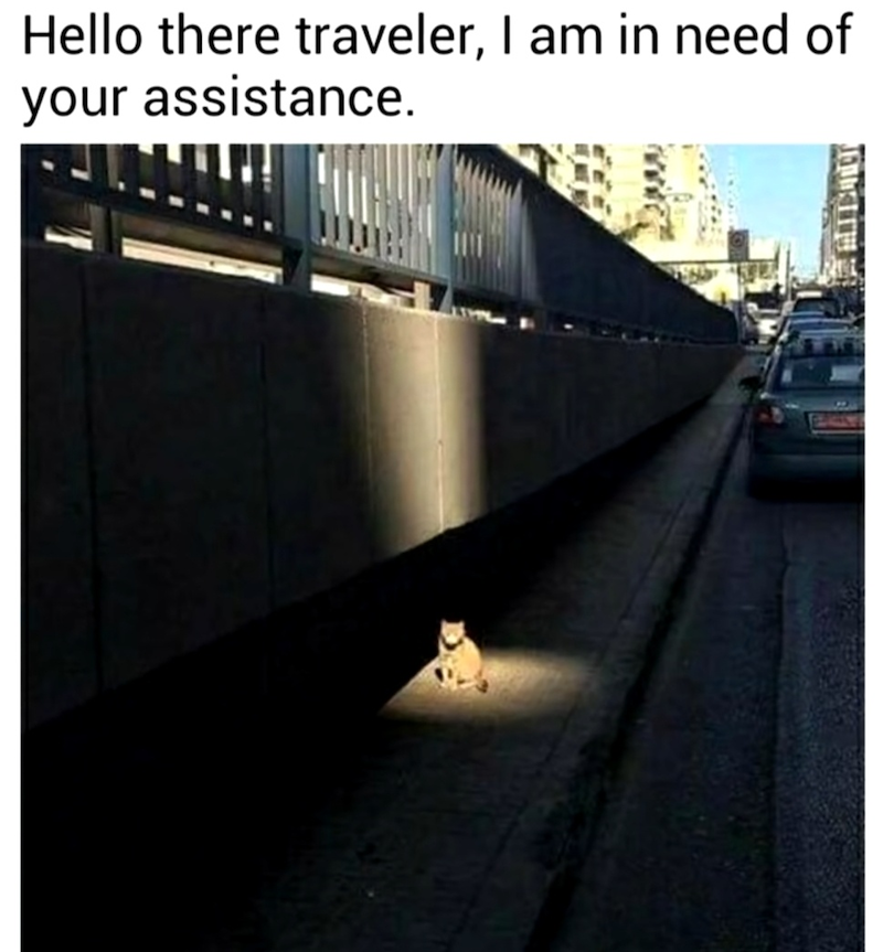 Hello there traveler, I am in need of your assistance.