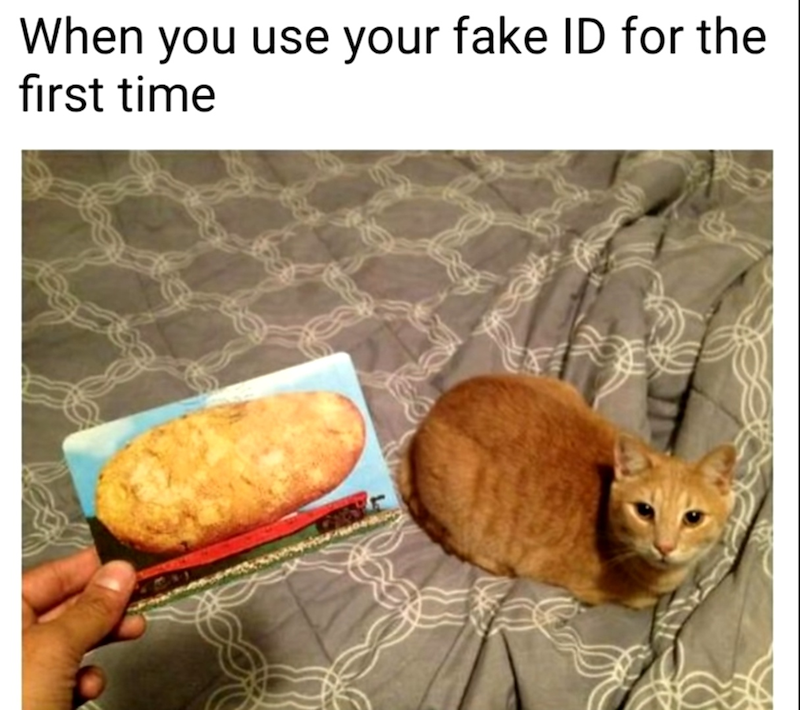When you use your fake ID for the first time