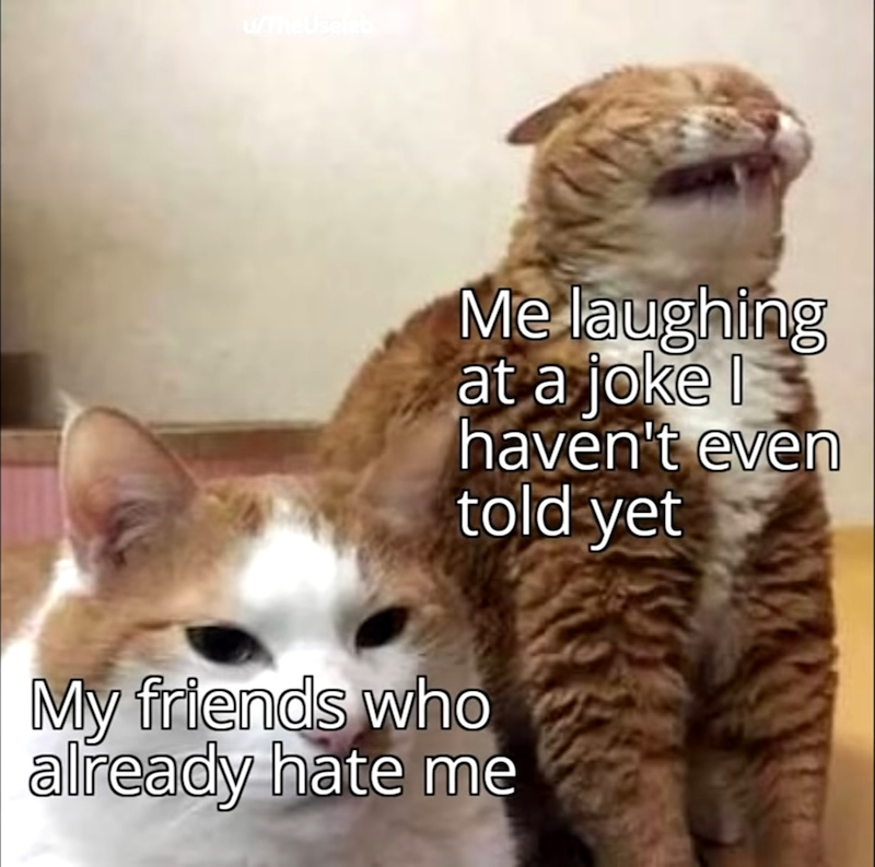u/TheUseleb Me laughing at a joke 3 haven't even told yet My friends who already hate me