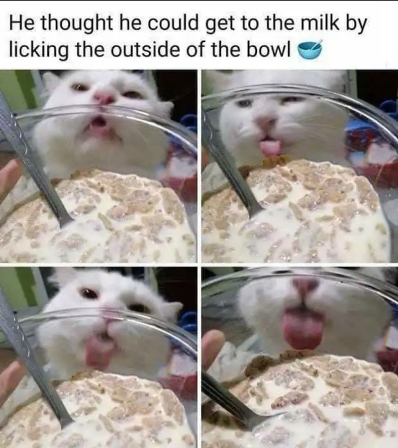 He thought he could get to the milk by licking the outside of the bowl