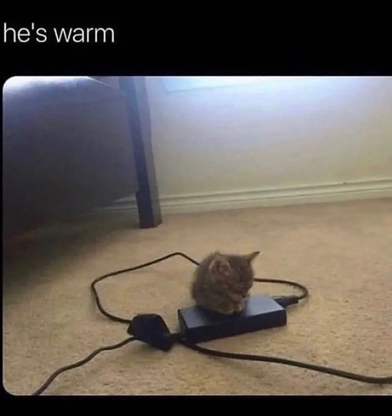 he's warm