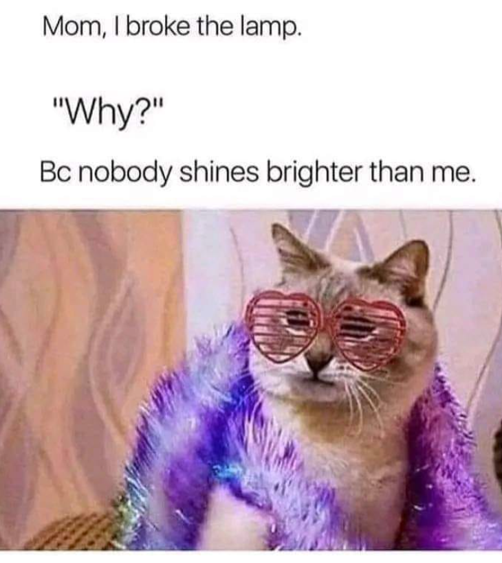 Mom, I broke the lamp. "Why?" Bc nobody shines brighter than me.
