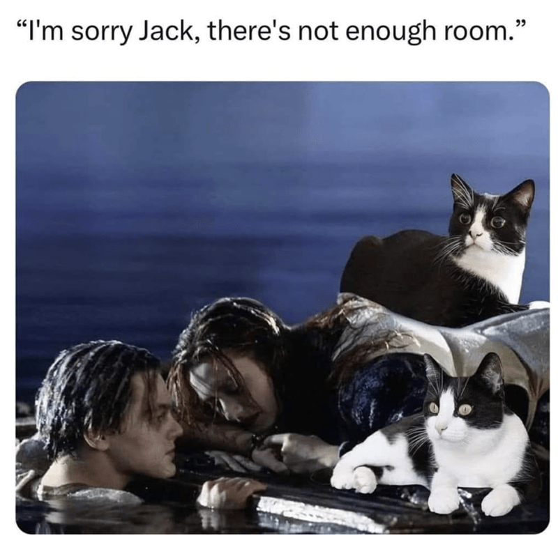 "I'm sorry Jack, there's not enough room."