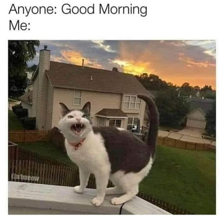 Anyone: Good Morning Me: @almeow